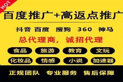百度SEM代运营案例揭秘，如何实现ROI最大化